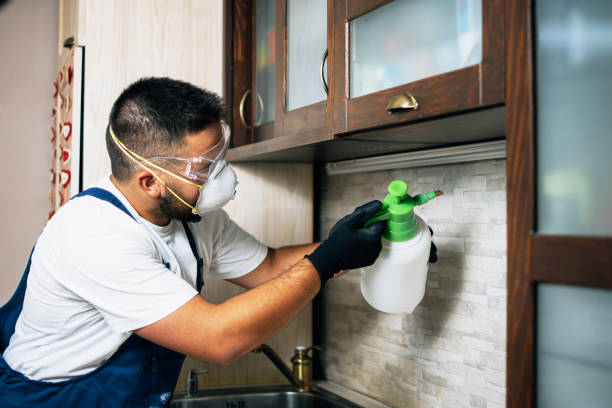 Best Pest Removal Services  in Reno, NV