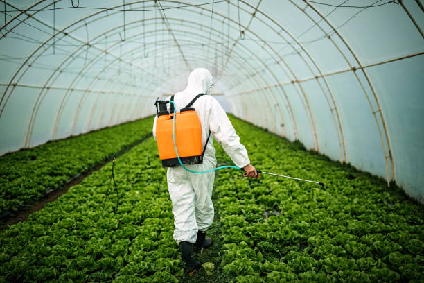 Best Pest Prevention Services  in Reno, NV