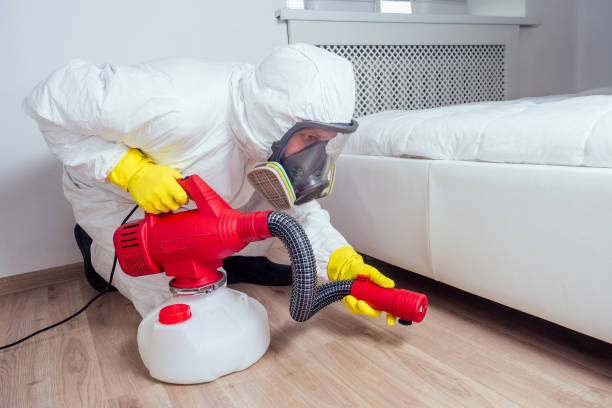 Best Residential Pest Control  in Reno, NV