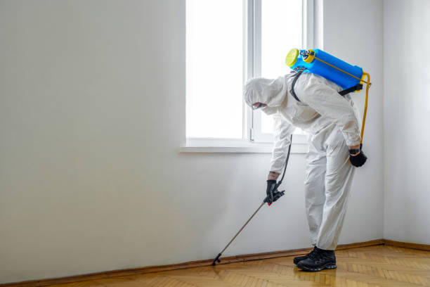 Best Mosquito Control Services  in Reno, NV