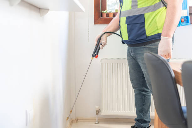 Best Wasp Removal Services  in Reno, NV