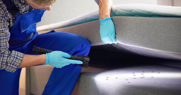 Best Pest Prevention Services  in Reno, NV