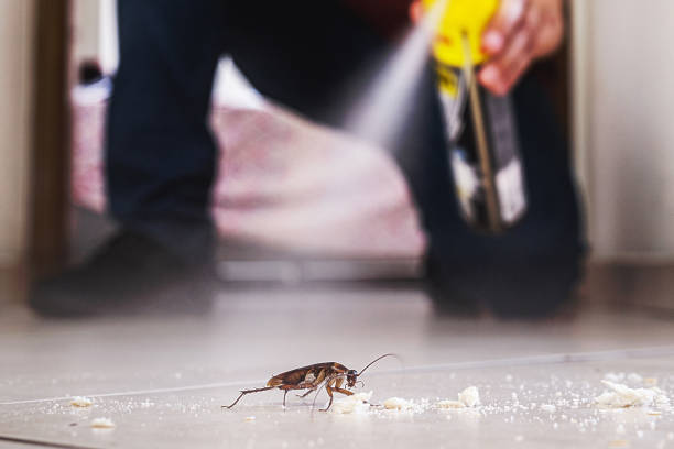 Best Pest Control for Homes  in Reno, NV