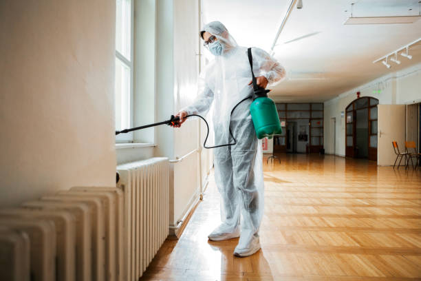 Best Local Pest Control Services  in Reno, NV